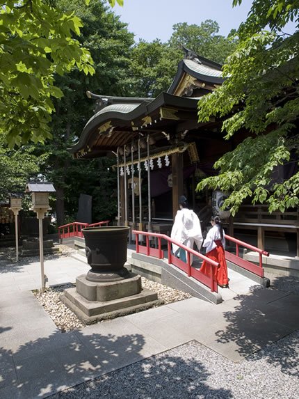 ⛩️ 진수 히카와 신사 이미지 1